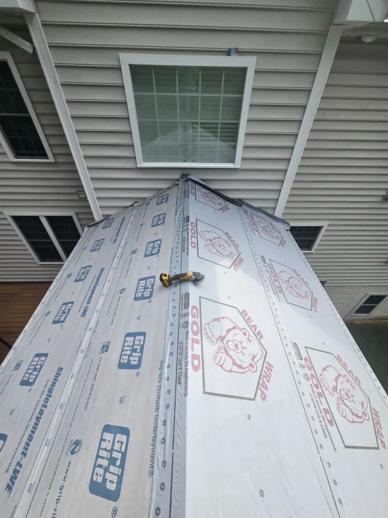 Roof moisture shield