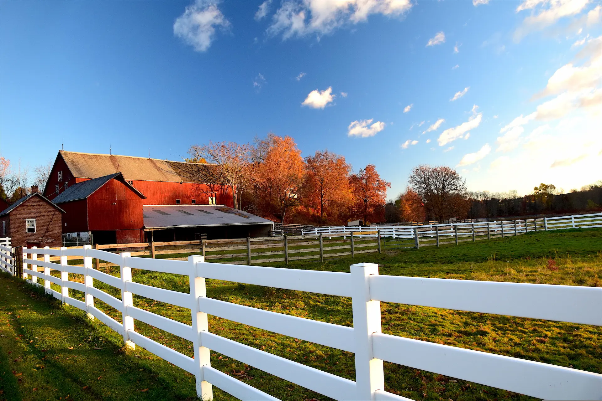 agricultural-rail-fence-and-vinyl-post-on-the-virginia