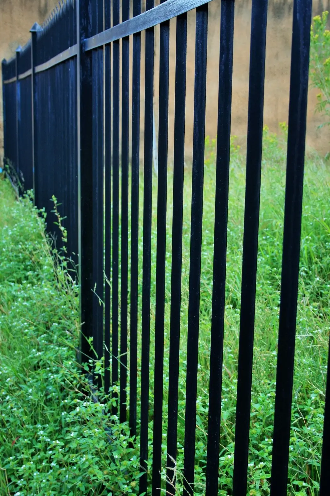 close-up-view-of-the-black-aluminum-fence-on-the-virginia