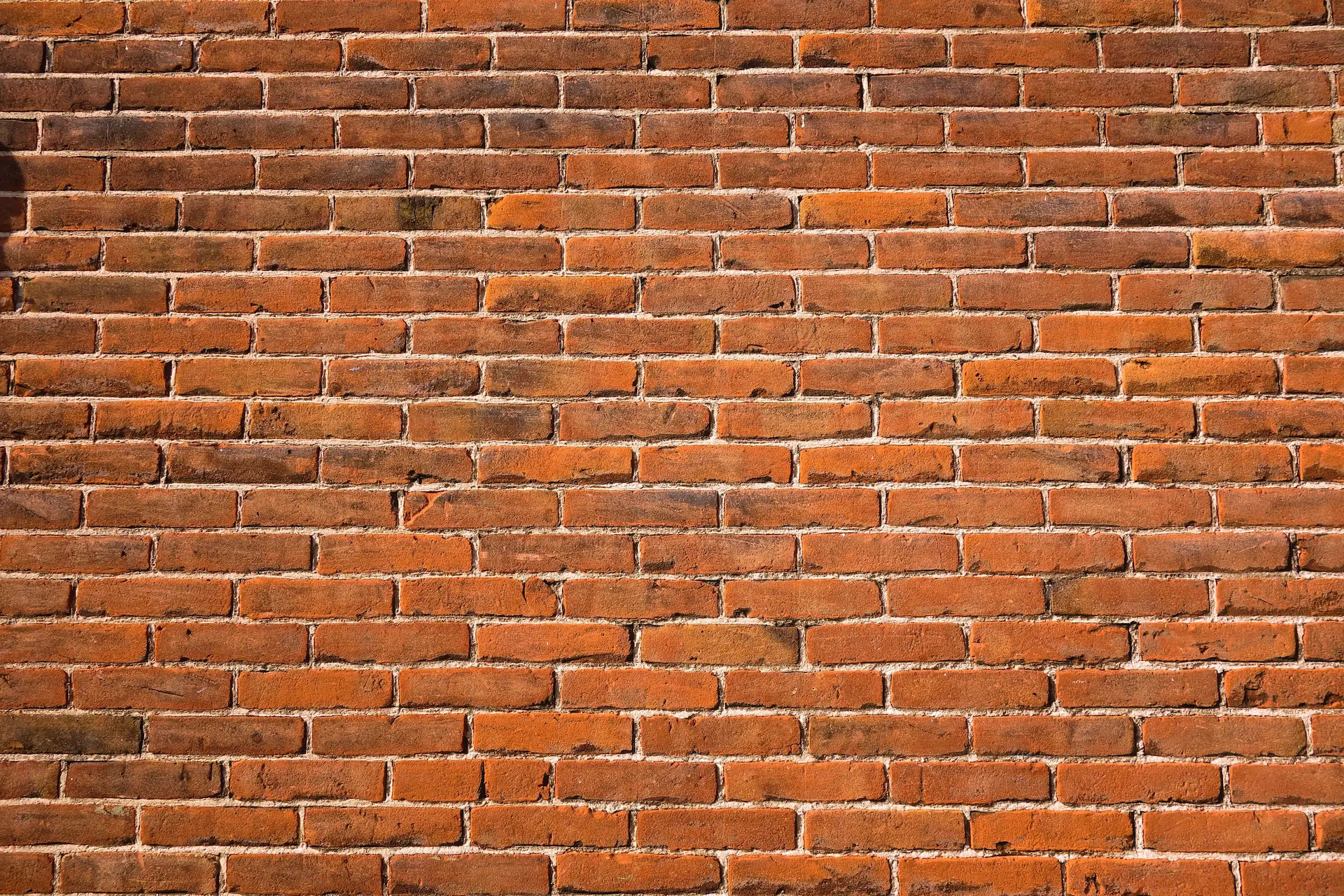 close-up-view-of-the-brick-wall-on-the-virginia