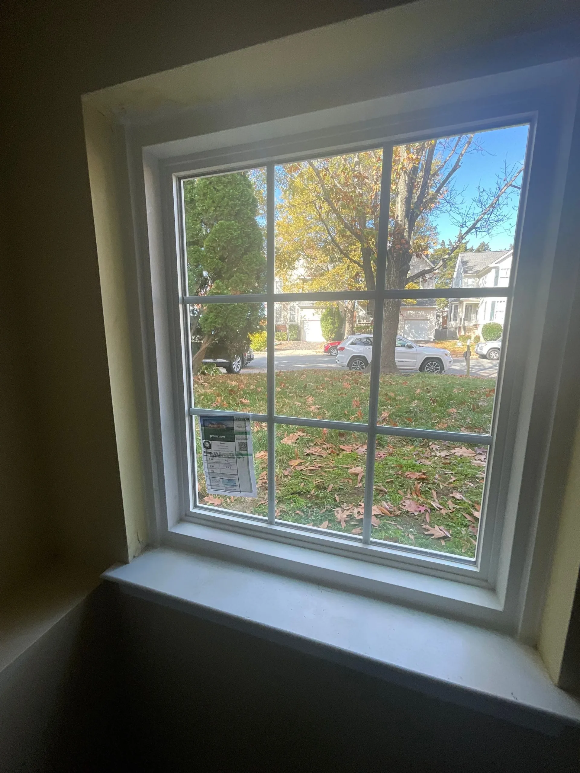 window-installation-featuring-trees-on-the-background-on-the-virginia