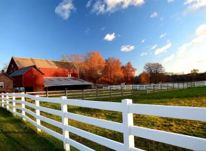 agricultural-rail-fence-and-vinyl-post-on-the-virginia